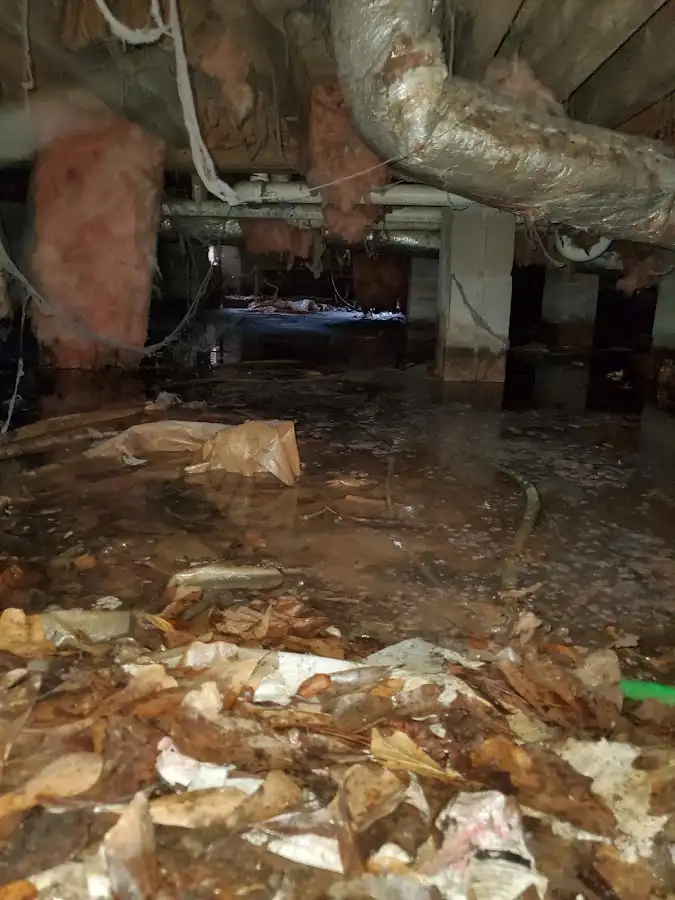 Crawl space flood assessment for Leak Detection & Repair in Baytown